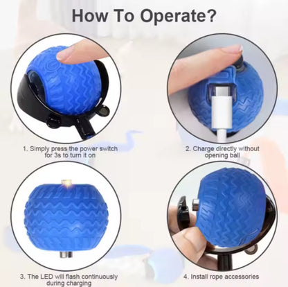 Smart Interactive Toy