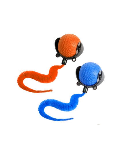 Smart Interactive Toy