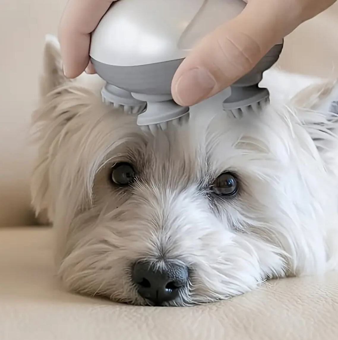 Pet Massager