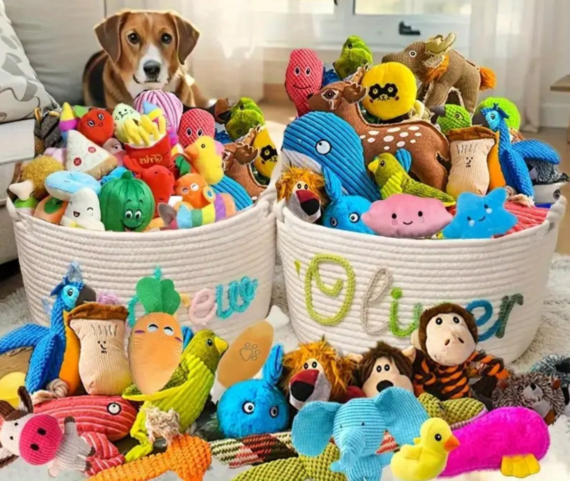 3pcs random Bite-Resistant Dog Toy Set