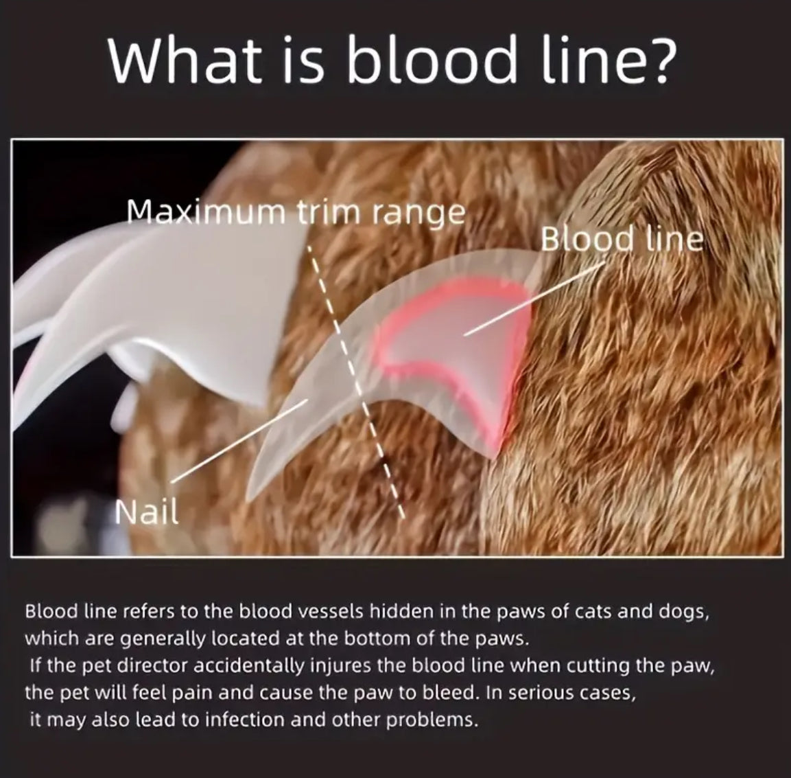 Cat And Dog Nail Clippers