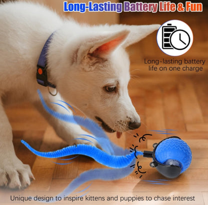 Smart Interactive Toy