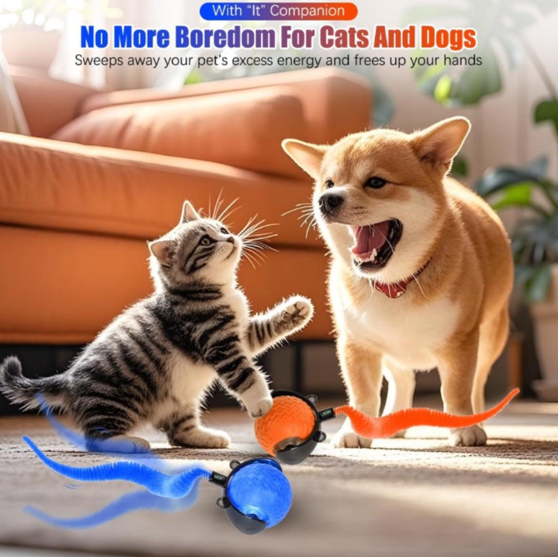 Smart Interactive Toy