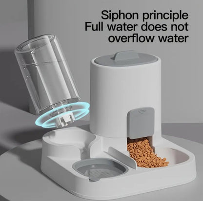 Automatic Dog Feeder